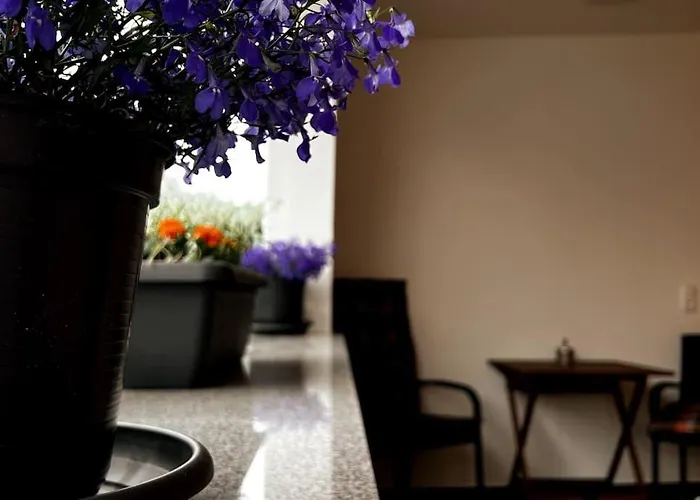 Zentrale Wohnung Mit Balkon